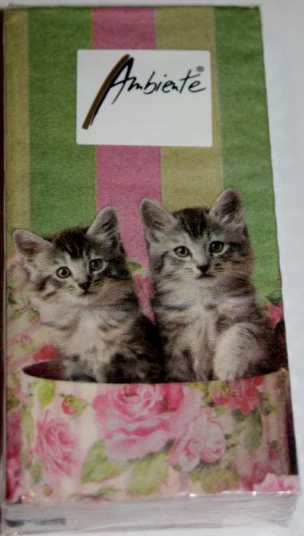 Taschentücher Cats in Box